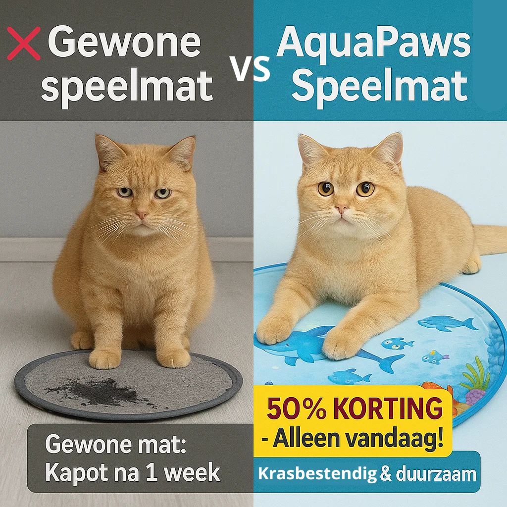 AquaPaws | Speelmat - Verkoelend Vermaak